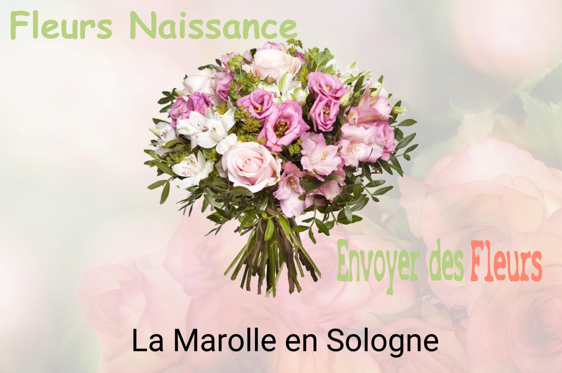 Bouquet de fleurs de naissance livré à La Marolle-en-Sologne